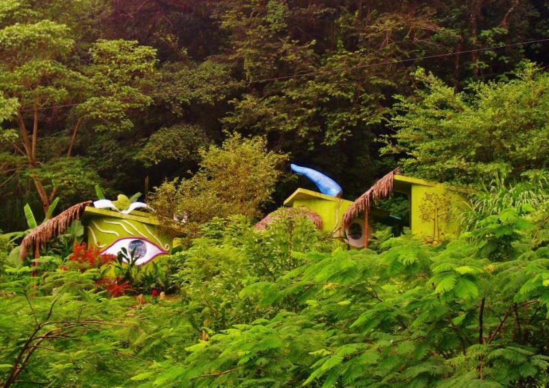 ホテルCasa Caracol サン・ルイス・ポトシ エクステリア 写真